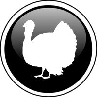 Thanksgiving Stencils
